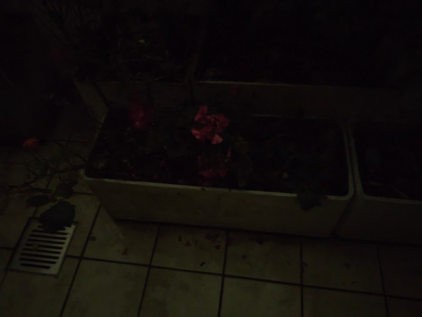 Xiaomi Poco F7 - Originalaufnahmen 