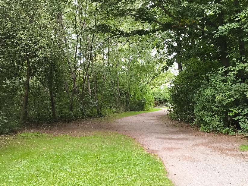 Ulefone Armor 34 Pro - Originalaufnahmen