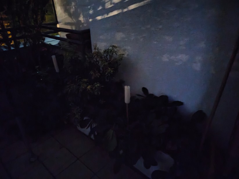 Realme 14 Pro+ 5G - Originalaufnahmen