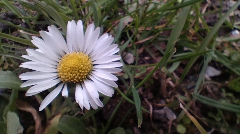 Cat S53 - Originalaufnahmen