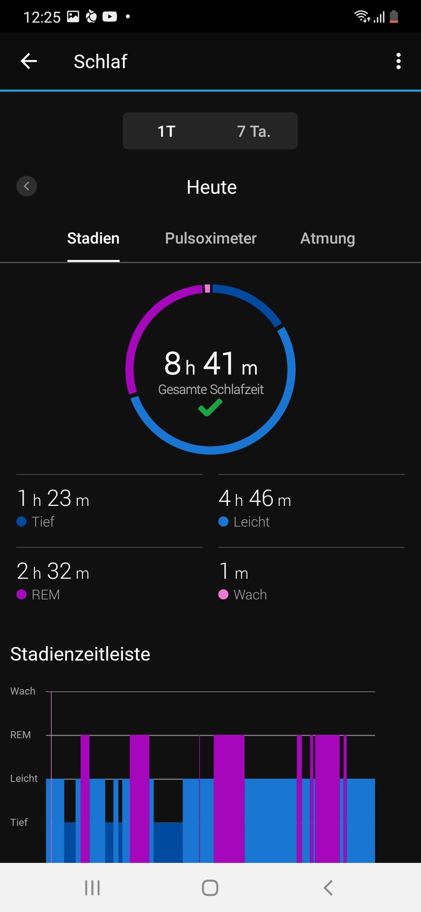 Garmin Connect Lily 