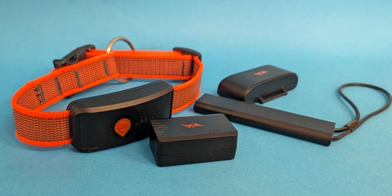 GPS-Tracker für Hund, Katze & Co.