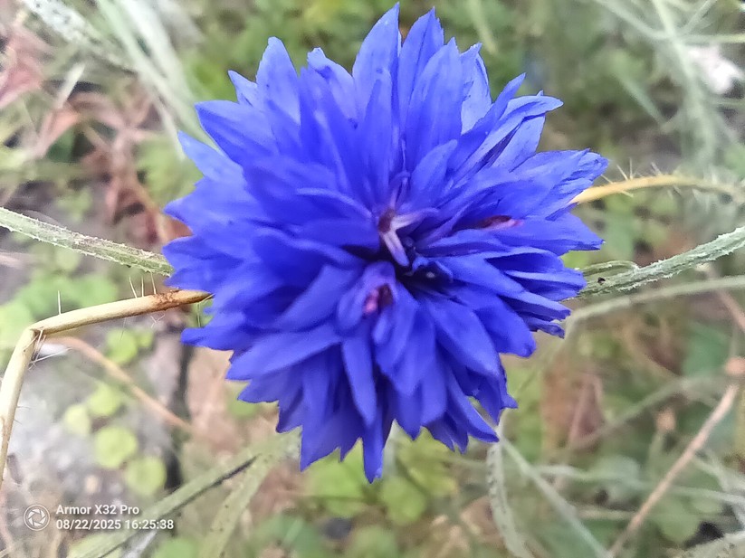 Ulefone Armor X32 Pro - Originalaufnahmen