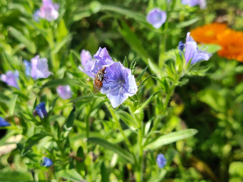 Motorola Edge 30 Ultra