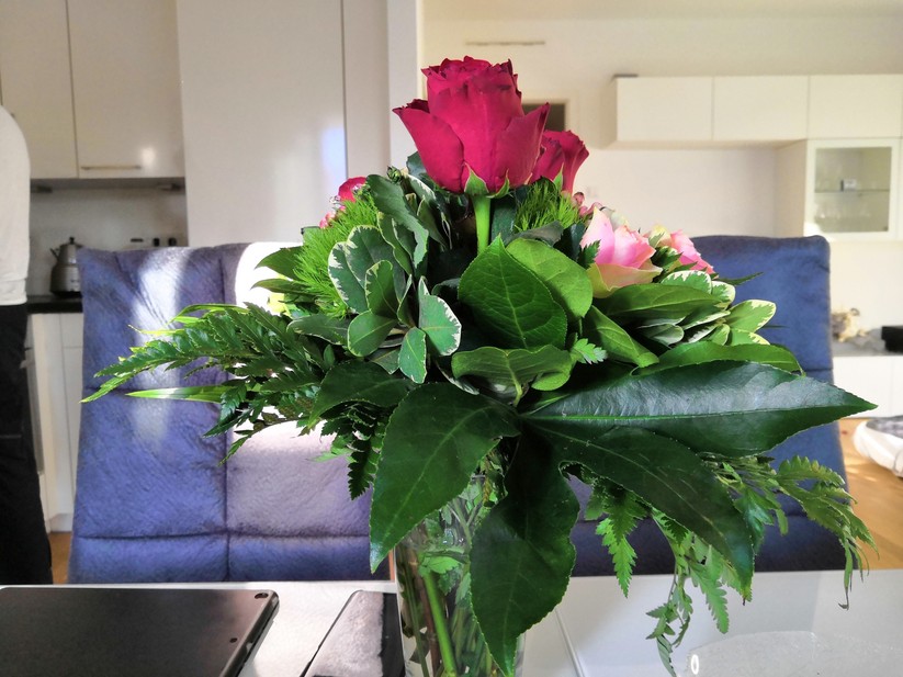 Aufnahme bei Tageslicht ohne optischem Zoom