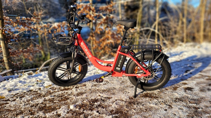  E-Bike mit Tiefeinstieg und Fat Tyres