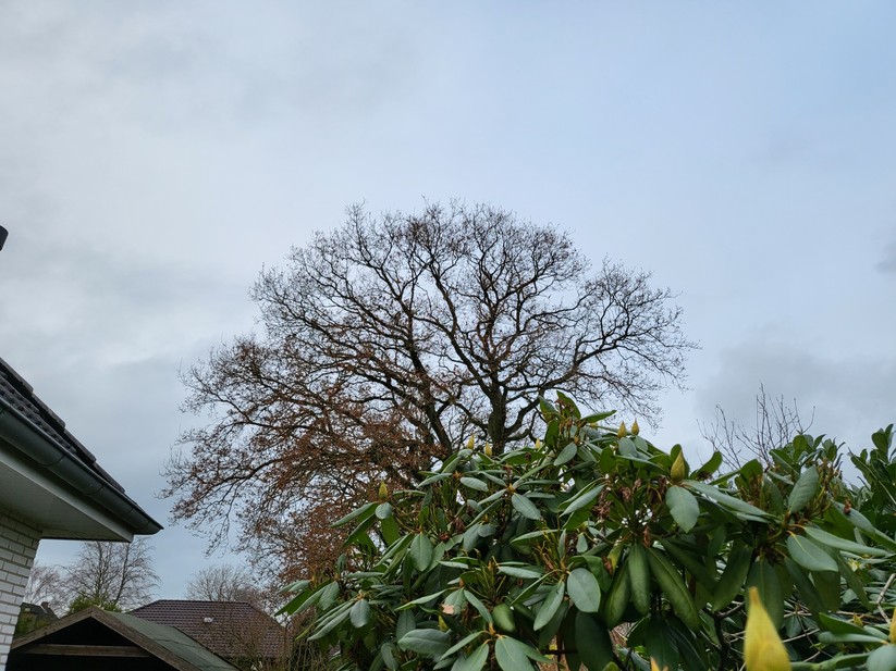 Samsung Galaxy Z Flip 3 5G