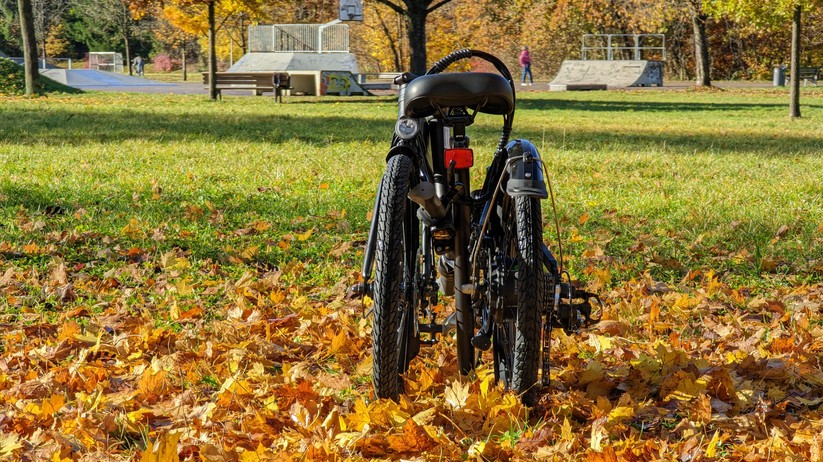 Laotie x Fiidoe D4S Pro