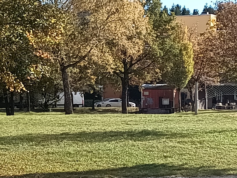 Cat S75 - Originalaufnahmen