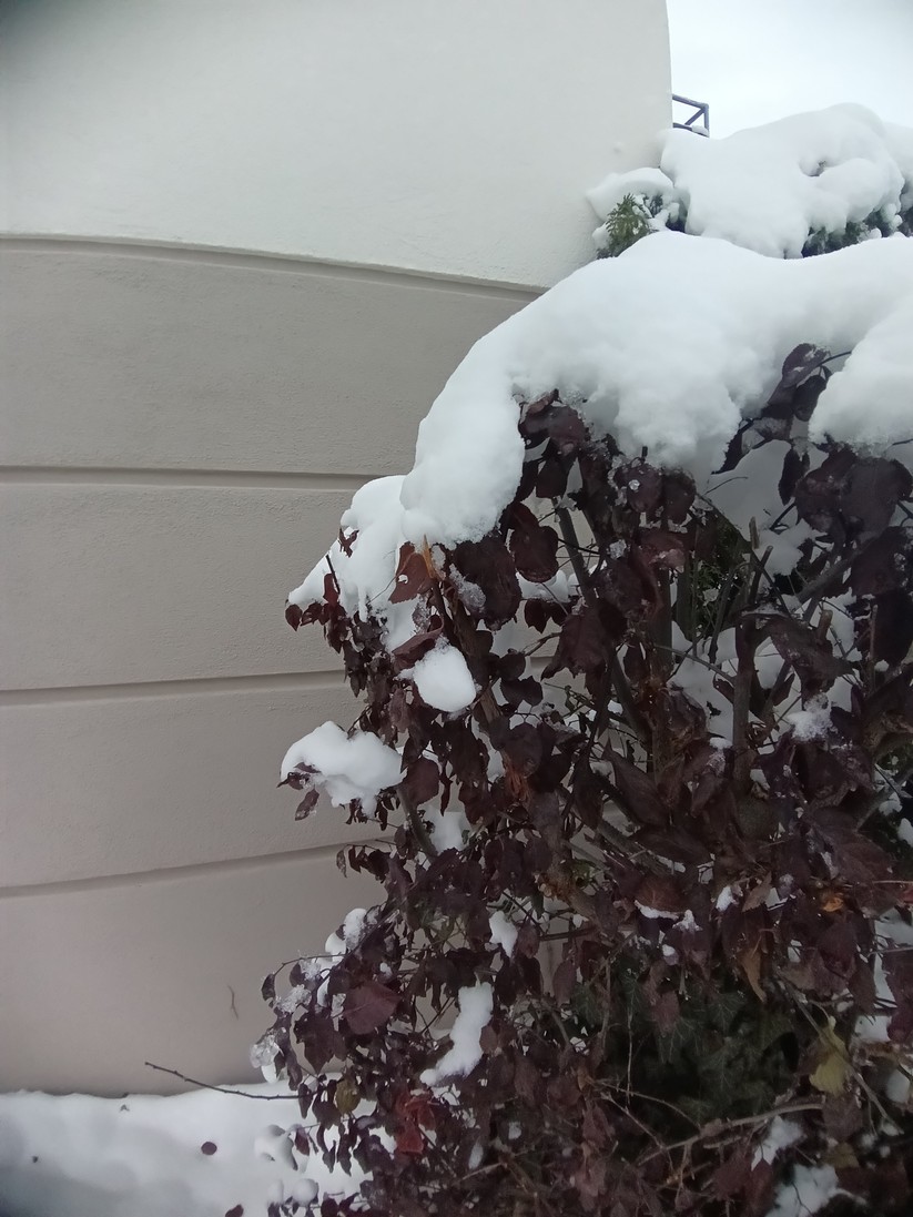 Blackview A200 Pro - Originalaufnahmen