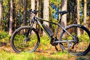 E-Bike Eleglide M1 Plus Gen 2 im Test