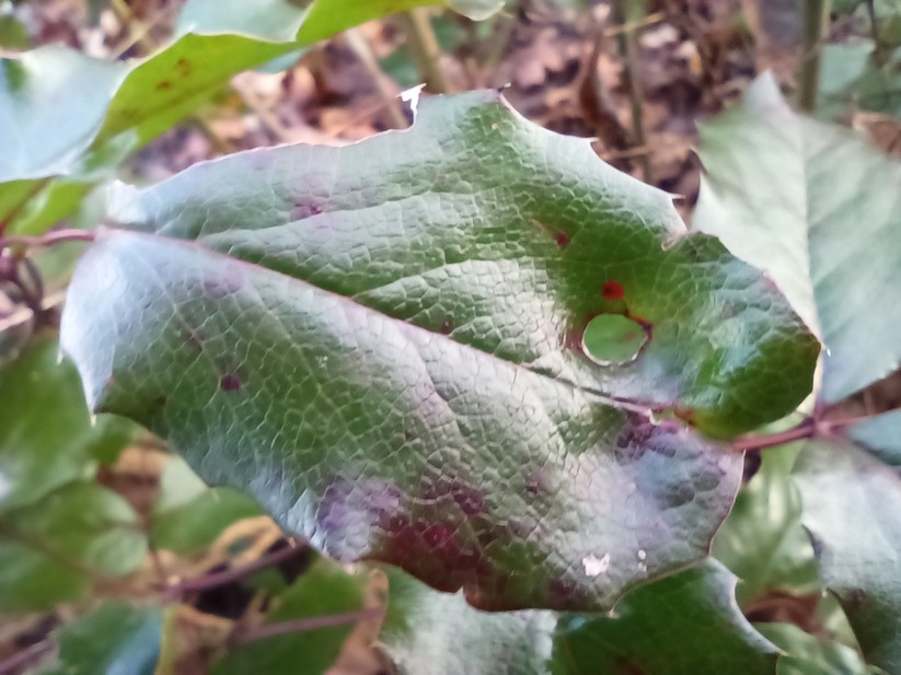 Gigaset GX6 - Originalaufnahmen