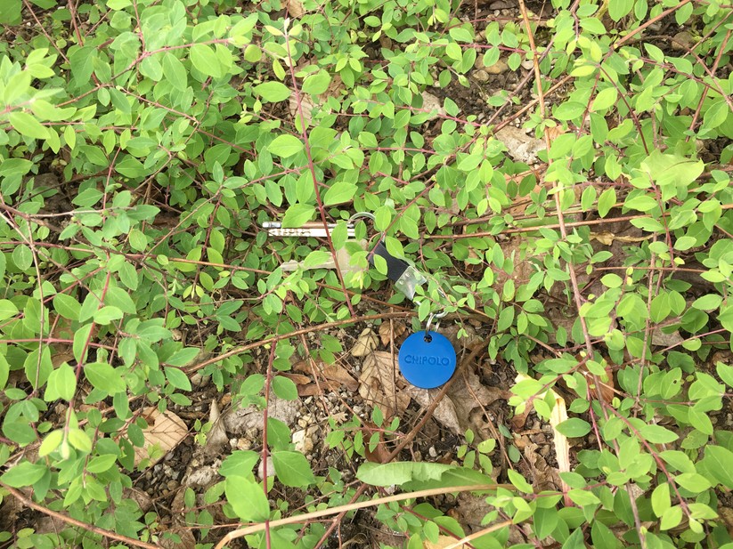 Eine knallige Farbe hilft beim Wiederfinden des Trackers.