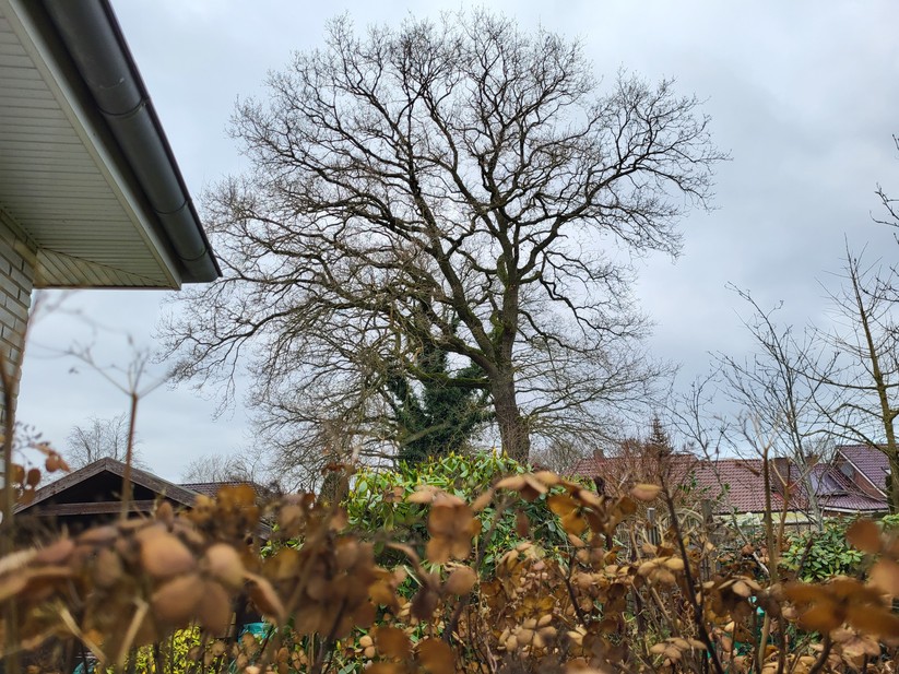 Samsung Galaxy S21 FE