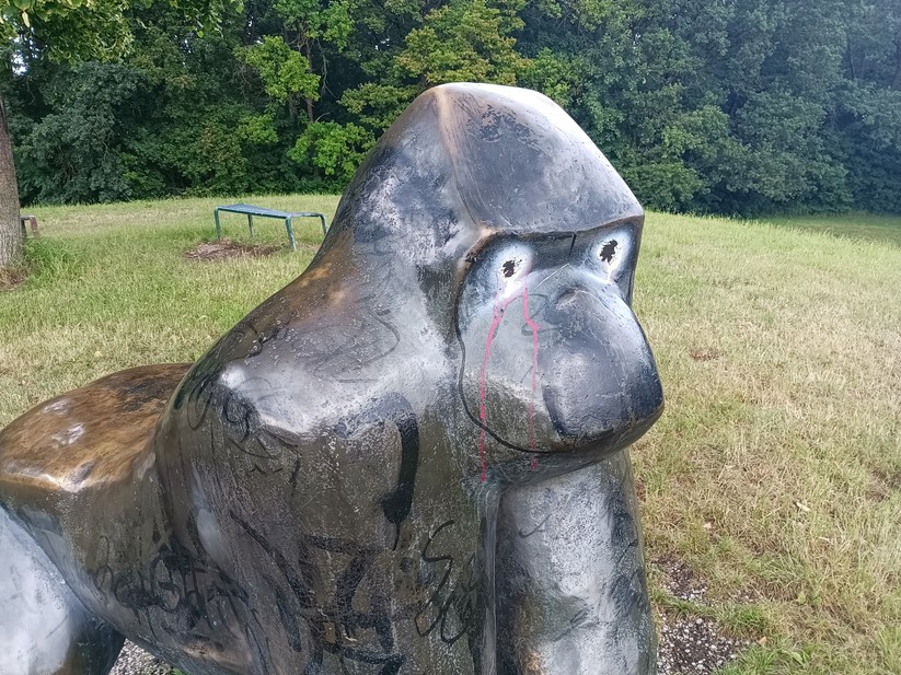 Blackview BV 9200 - Originalaufnahmen 