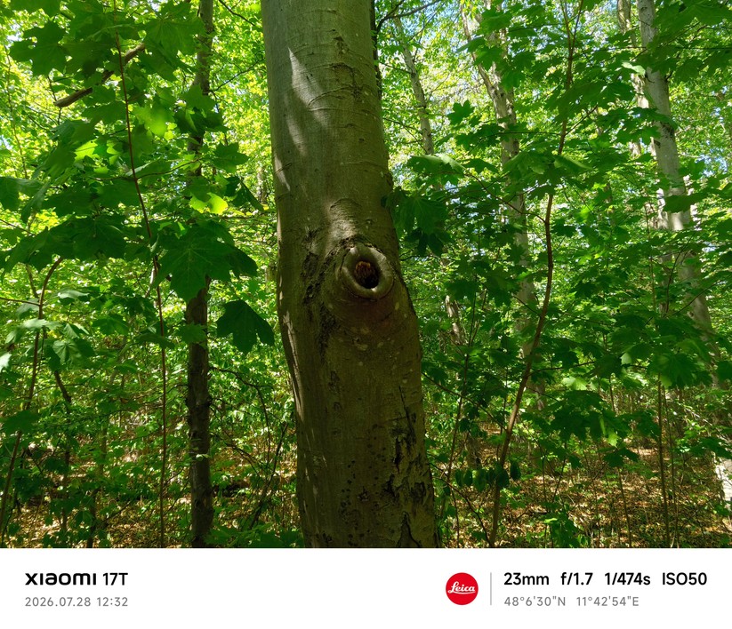 Xiaomi 17T: Hauptkamera