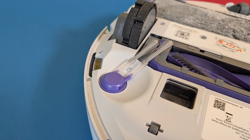 Narwal Flow – Bilderstrecke