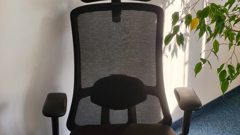 Desktronic Sitone