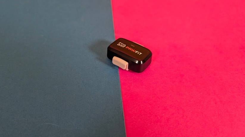 Pawfit Lite – Bilderstrecke