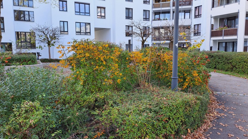 Samsung Galaxy A53 - Originalaufnahmen 