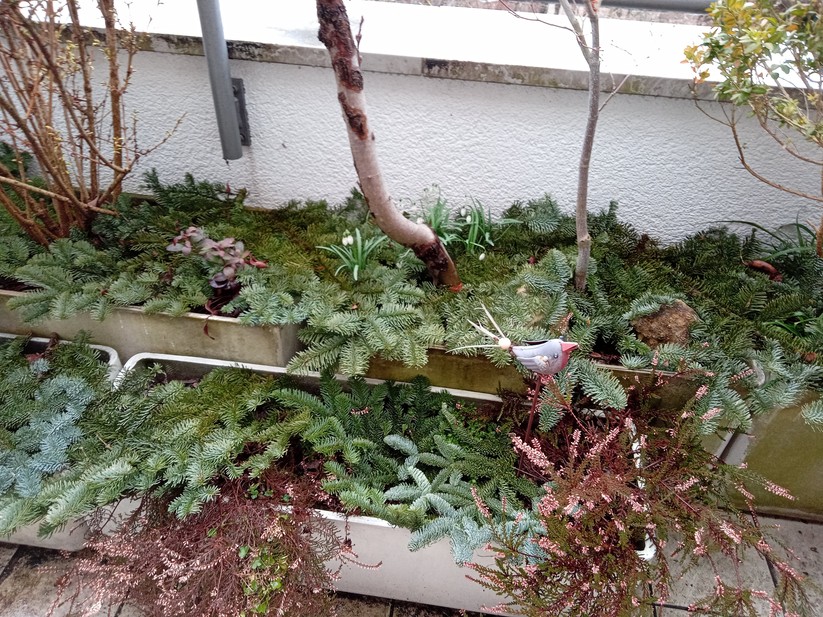 Fotos mit dem Lenovo Tab M8 