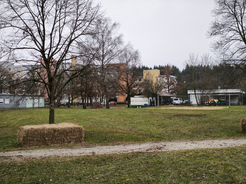 Xiaomi 15T - Originalaufnahmen