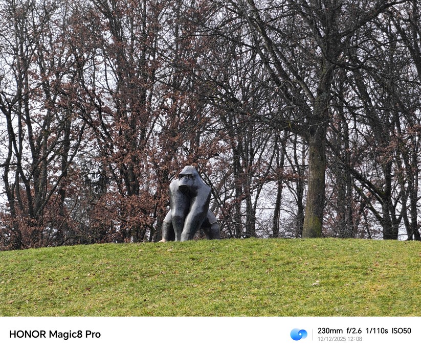 Honor Magic 8 Pro - Originalaufnahmen 