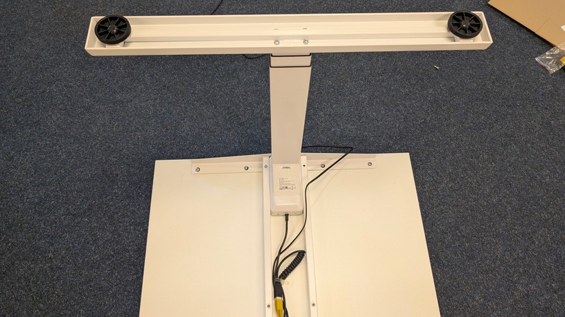 Assmann Y-Line