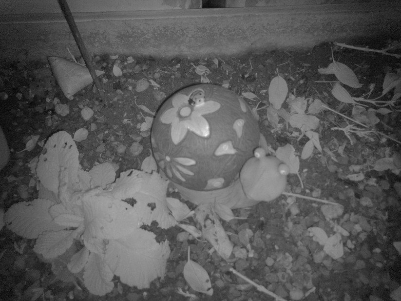 Blackview Xplore 2 - Originalaufnahmen