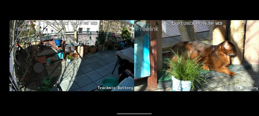 Reolink Trackmix Akku: Darstellung mit 6x-Zoom