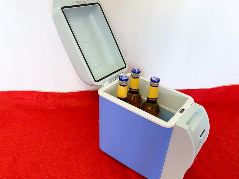 Lescars Auto Kühlbox