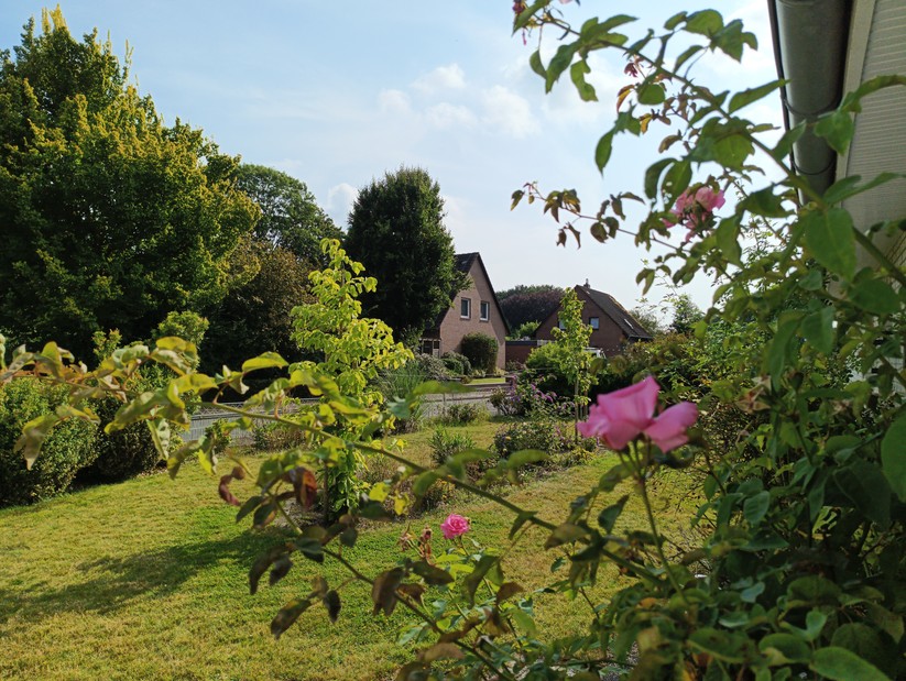 Blackview BV8200 - Originalaufnahmen