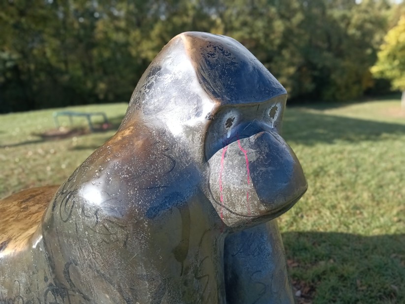 Cat S75 - Originalaufnahmen