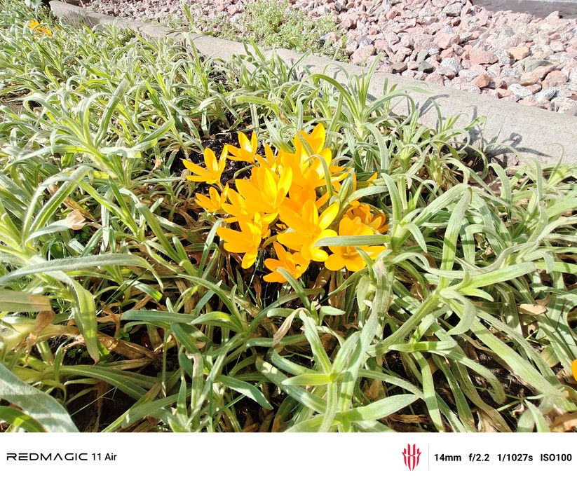 Testfoto – Redmagic 11 Air 