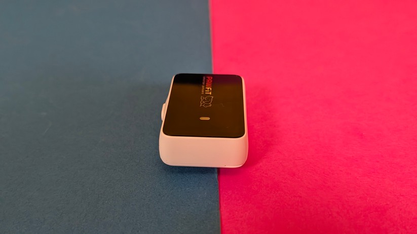 Pawfit 3 – Bilderstrecke
