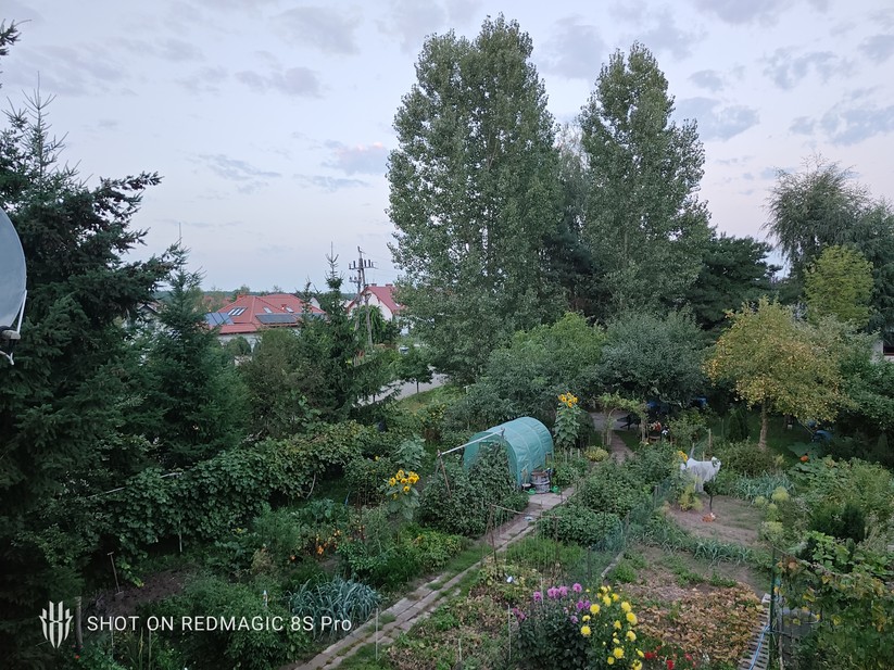 Redmagic 8S Pro - Originalaufnahmen