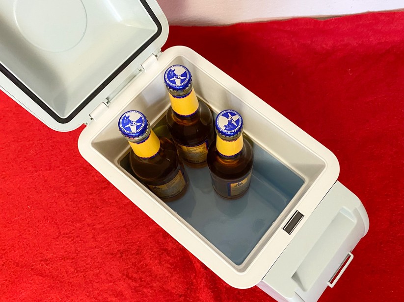 Lescars Auto Kühlbox