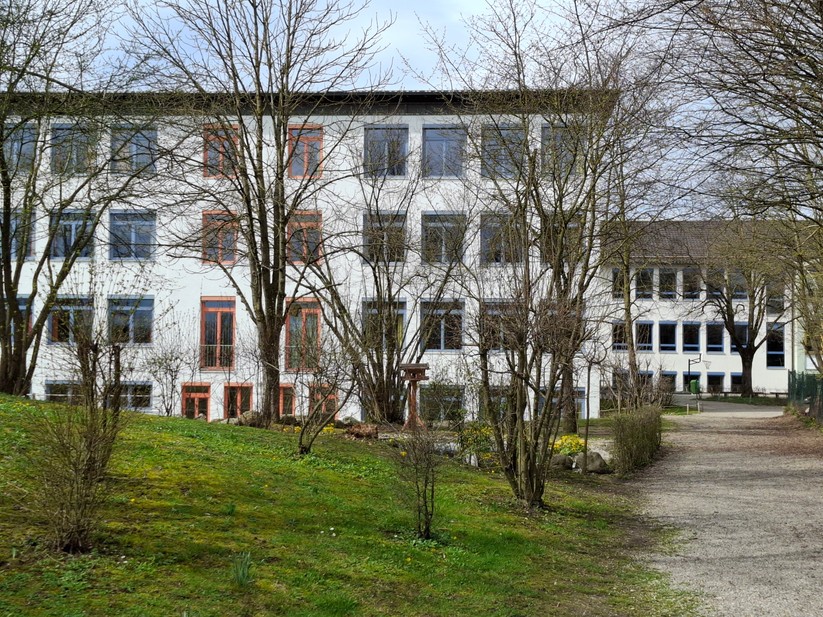 Samsung Galaxy A55 – Originalaufnahmen