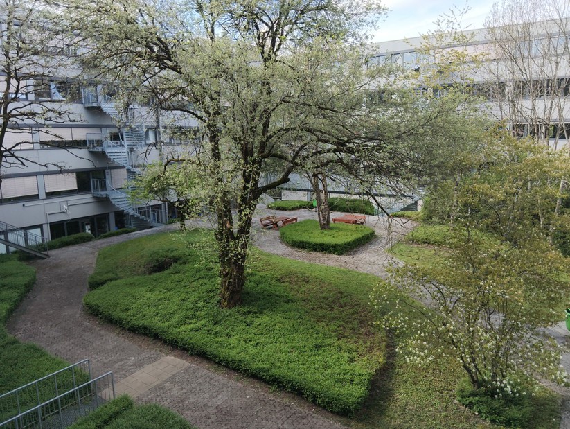  Hauptkamera