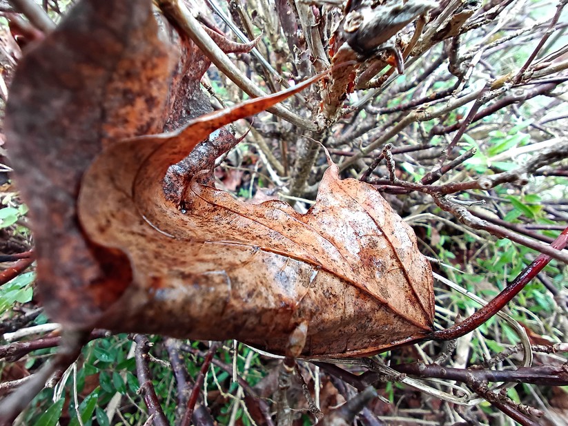 Gigaset GX4 - Originalaufnahmen