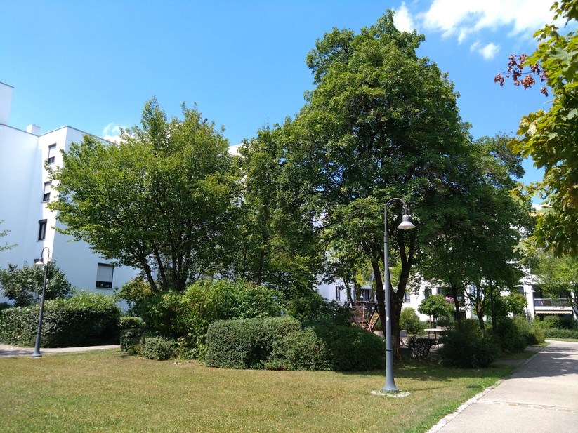 Sony Xperia 10 IV - Originalaufnahmen 