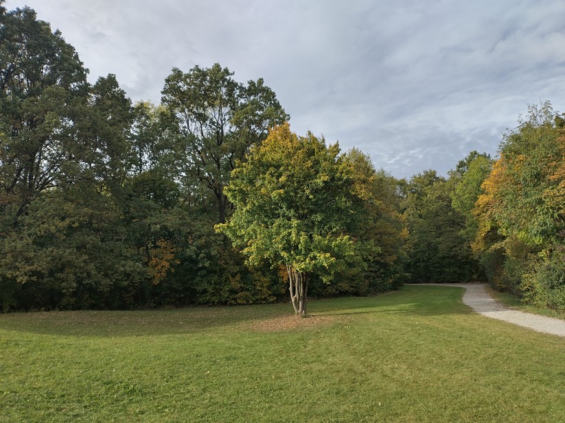 Nokia XR21 - Originalaufnahmen 