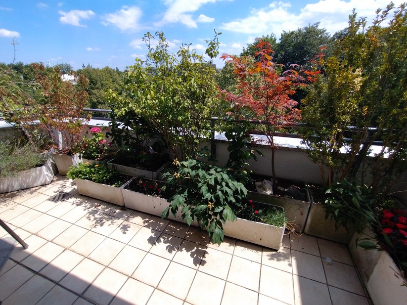 Sony Xperia 10 IV - Originalaufnahmen 