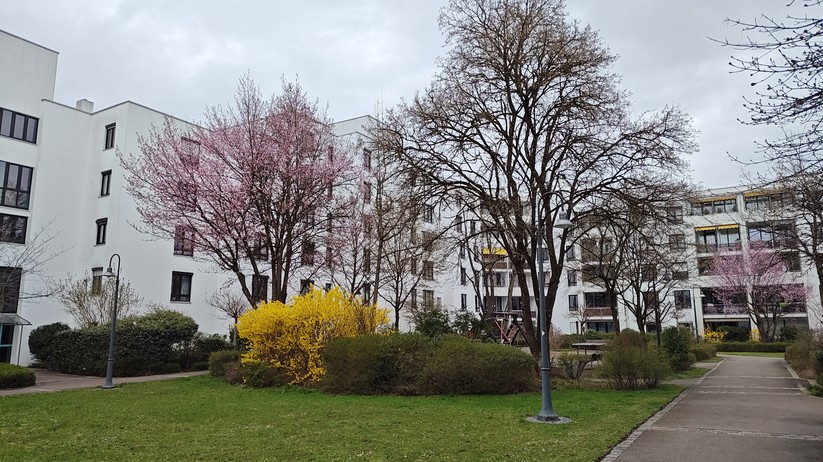 Motorola Edge 40 Pro - Originalaufnahmen