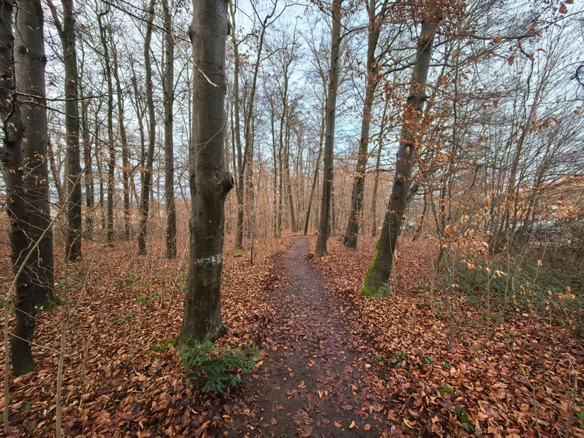 Huawei Pura 80 Pro - Originalaufnahmen