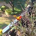 Testfoto geschossen mit einem Sony Ericsson Xperia pro | BestBoyZ