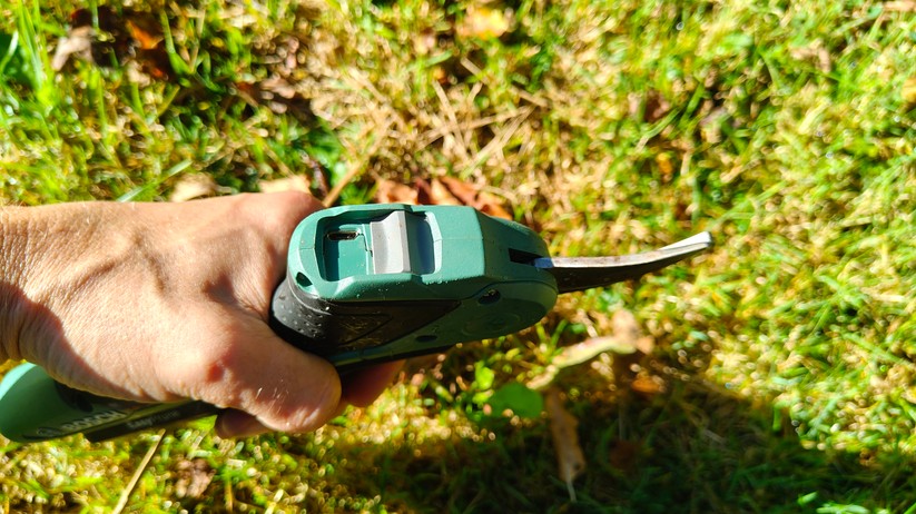 Bosch Easyprune