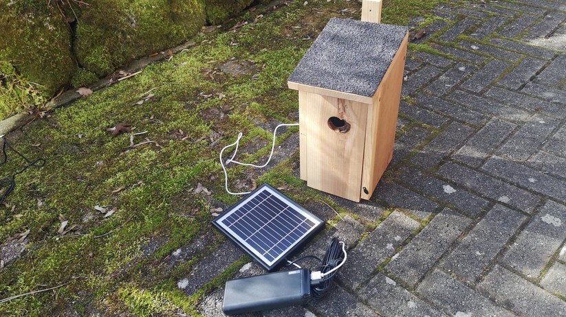 Hier haben wir einen Kasten mit Indoor-Kamera, Pass-Through-Powerbank und Solarmodul ausgestattet. Günstige Solarkameras sind nach unserer Erfahrung aber besser geeignet.