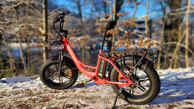  E-Bike mit Tiefeinstieg und Fat Tyres