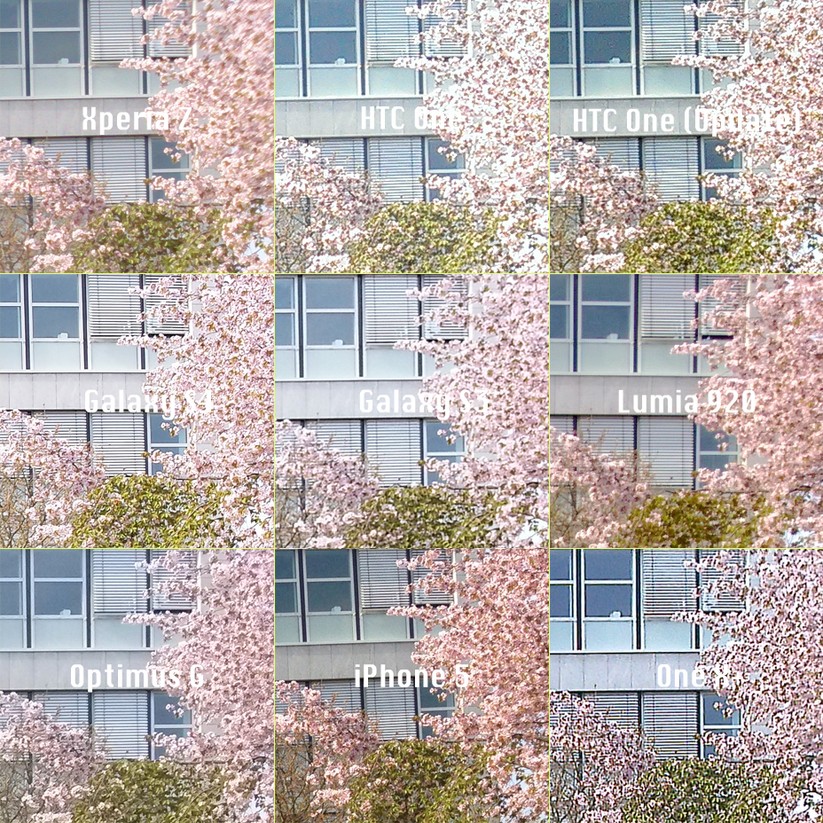Wenn die rosafarbenen Blüten des Baumes überbelichtet und somit weiß werden, zeugt das von einem schlechten Dynamikumfang.